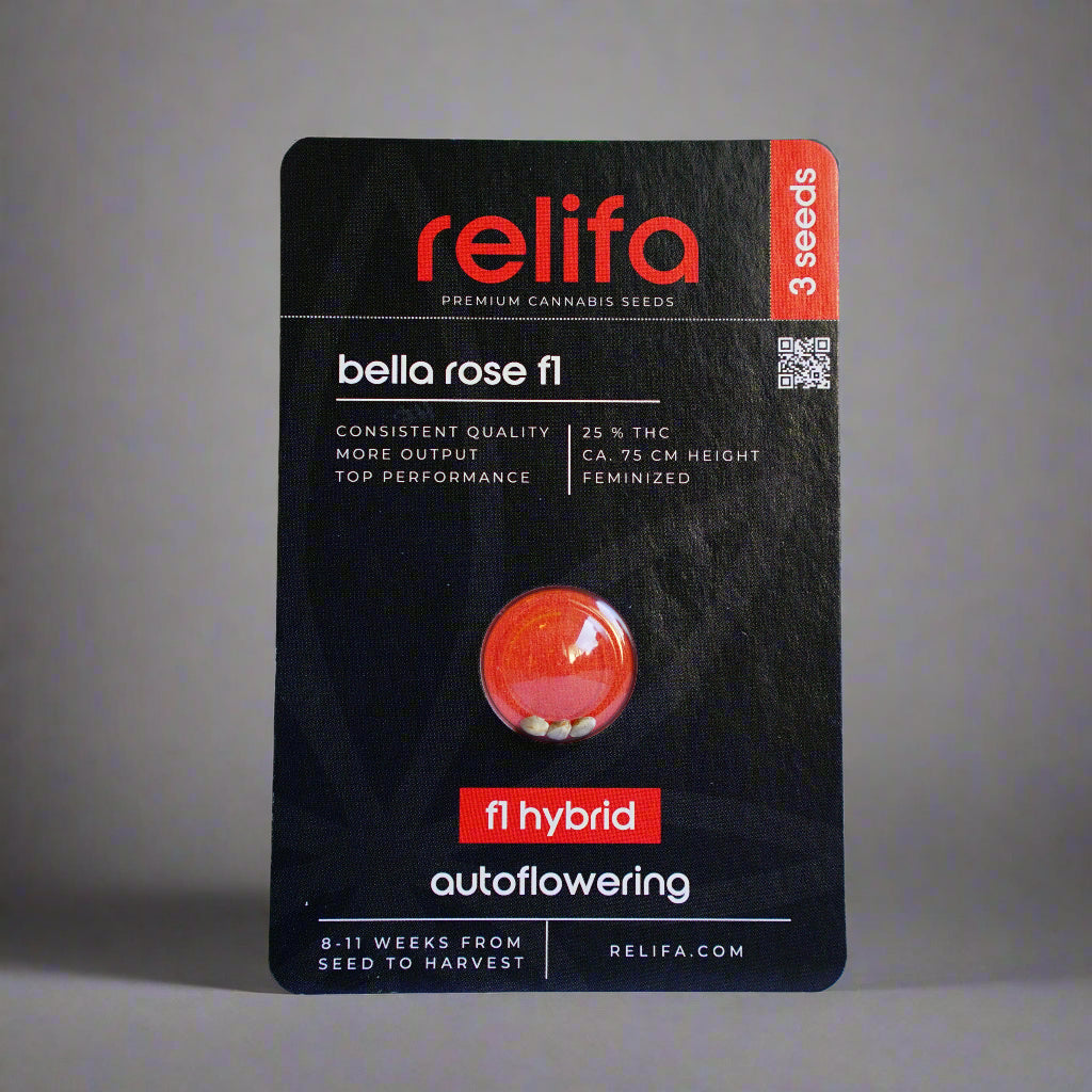 bella rose f1 Cannabis Samen – relifa.com